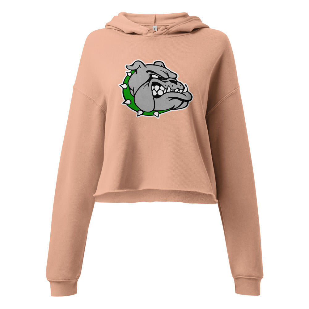 Ashville High School Design 1 — Peach