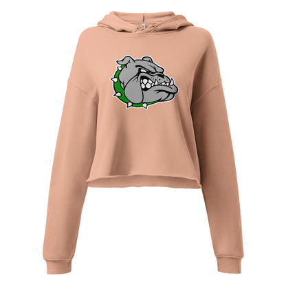 Ashville High School Design 1 — Peach