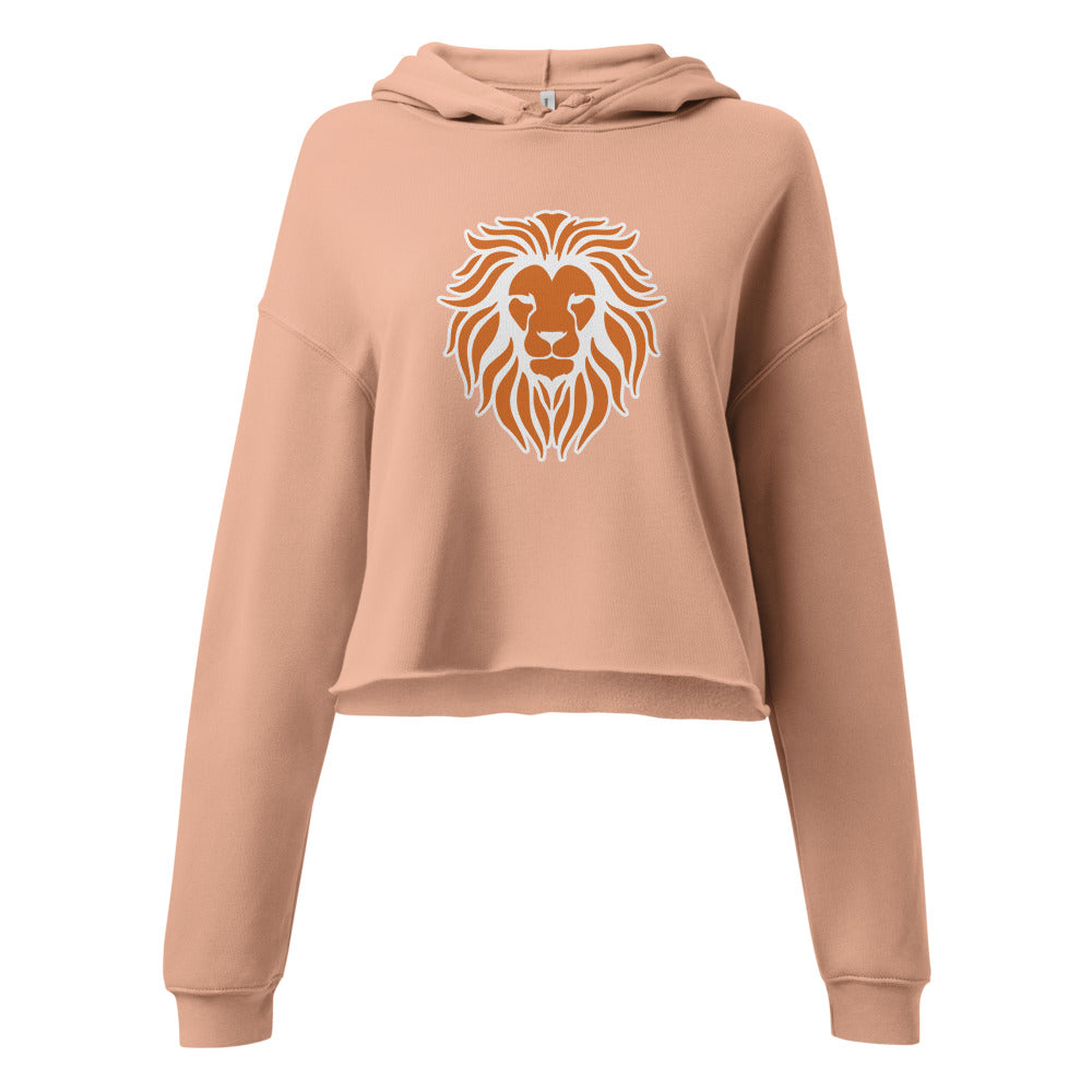 Brooks High School Design 1 — Peach