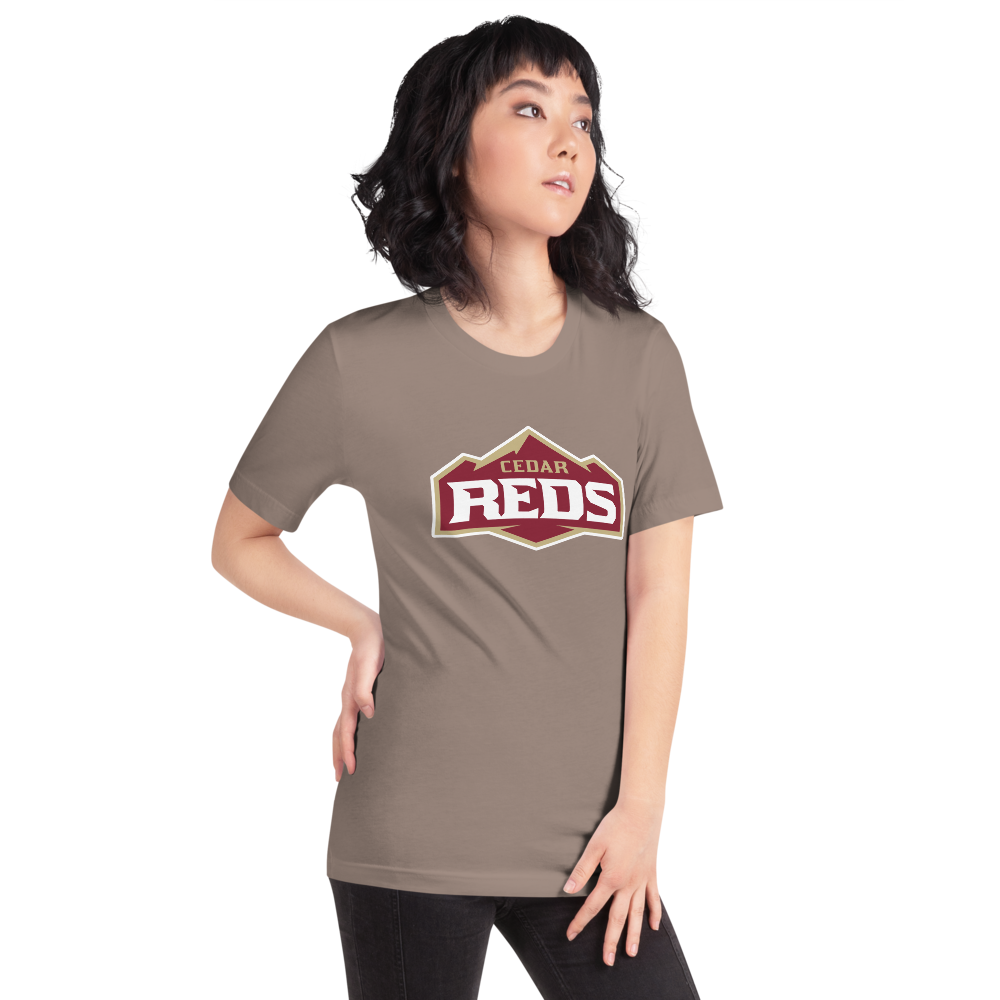 Cedar High School Design 1 — Pebble