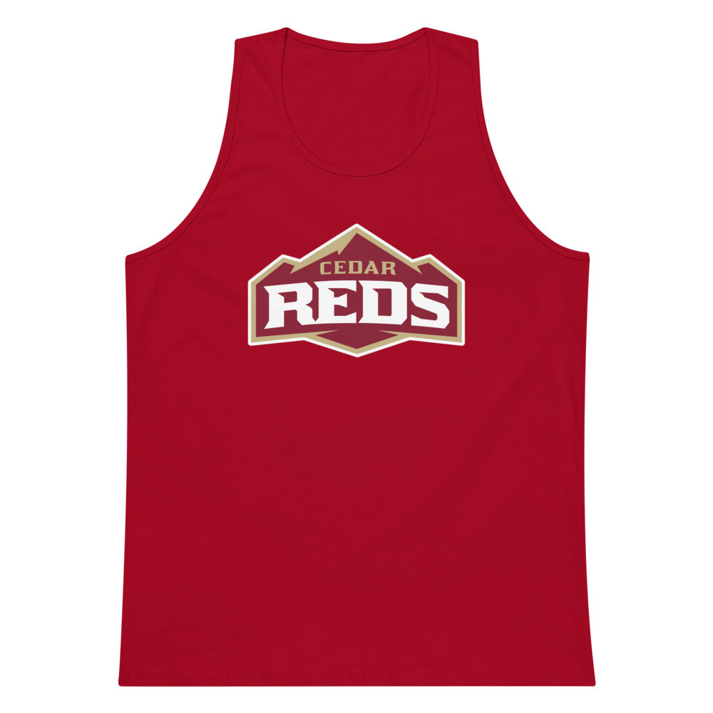 Cedar High School Design 1 — Red