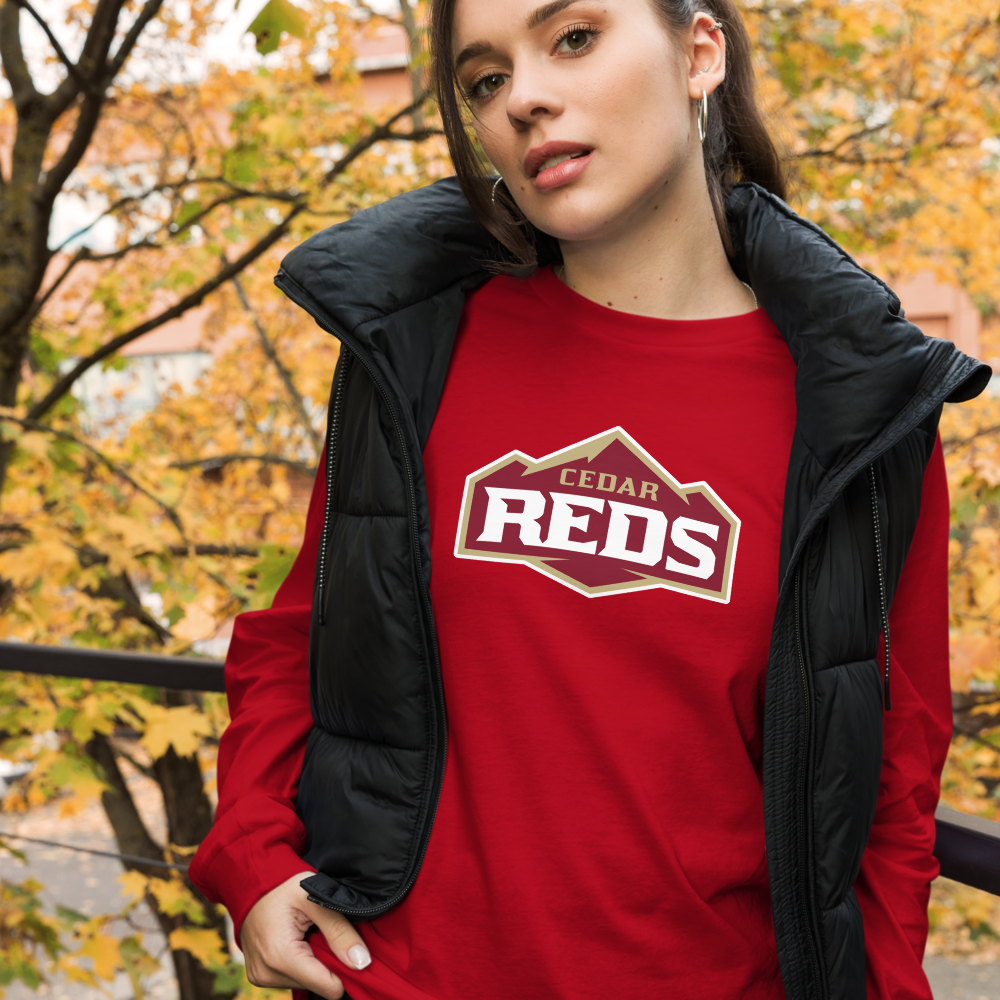 Cedar High School Design 1 — Red