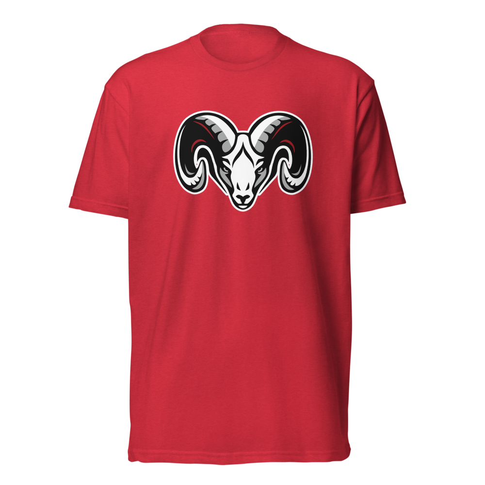 South Sevier High School Design 1 — Red