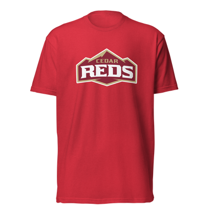 Cedar High School Design 1 — Red