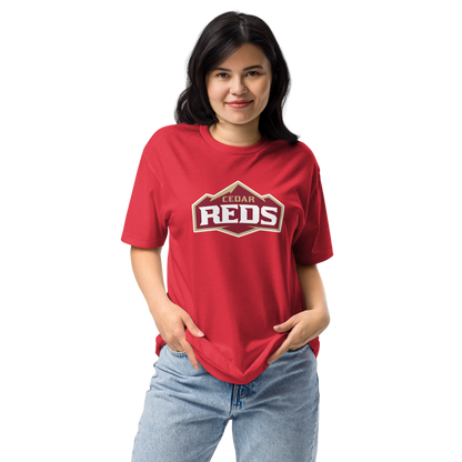 Cedar High School Design 1 — Red