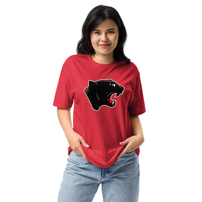 Collinsville High School Design 1 — Red