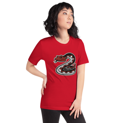 Desert Oasis High School Design 1 — Red