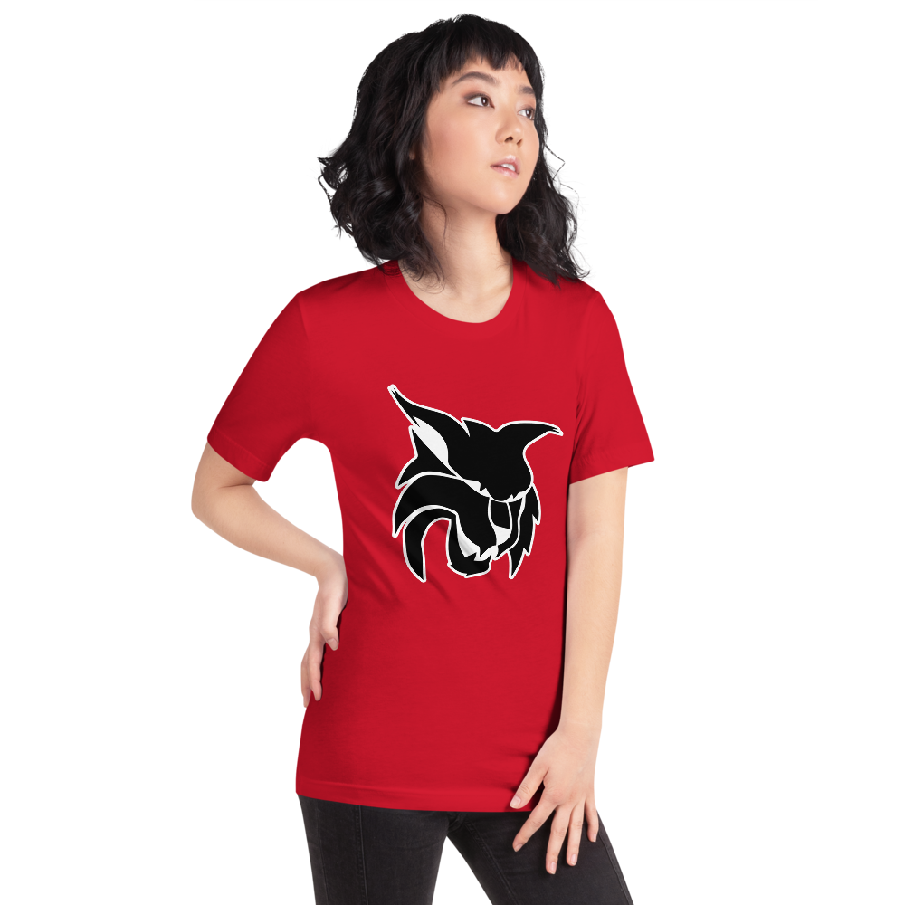 Lincoln County High School Design 1 — Red