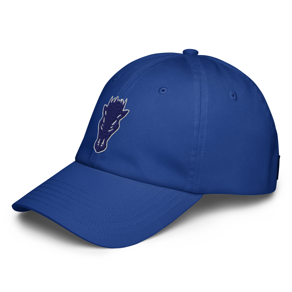 Damonte Ranch High School Design 1 — Royal Blue