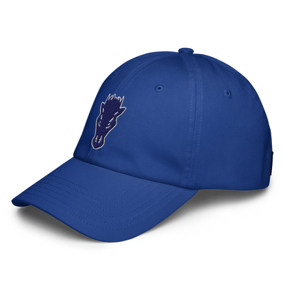 Damonte Ranch High School Design 1 — Royal Blue