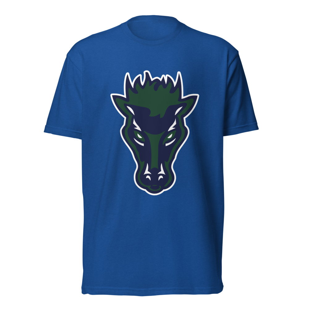 Damonte Ranch High School Design 1 — Royal