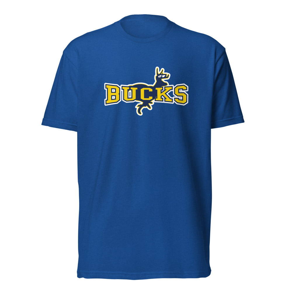 Buckhorn High School Design 1 — Royal