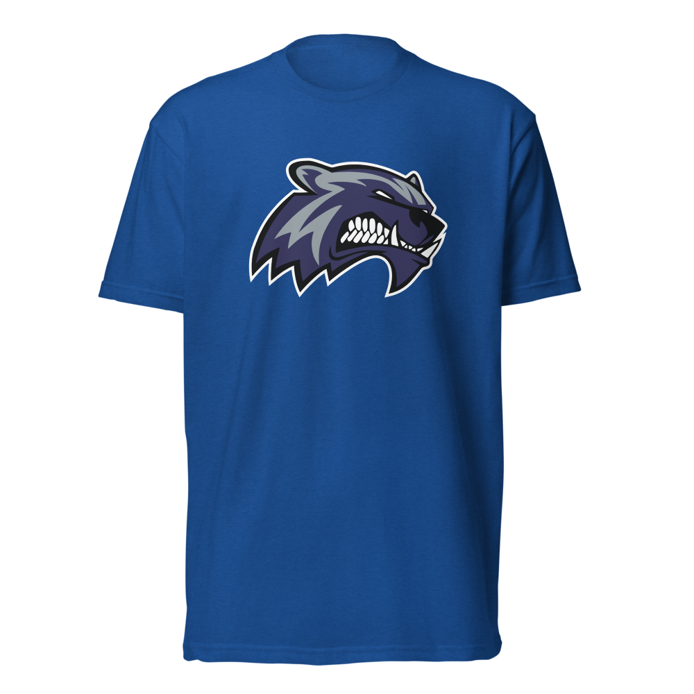 Hunter High School Design 1 — Royal