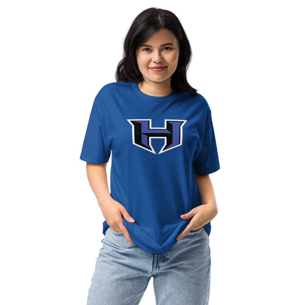 Hatton High School Design 1 — Royal