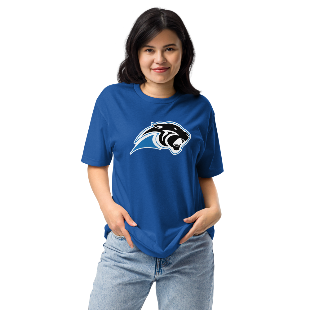 Pahranagat Valley High School Design 1 — Royal