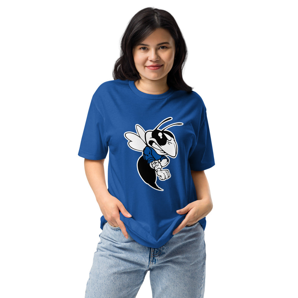 Chelsea HIgh School Design 1 — Royal
