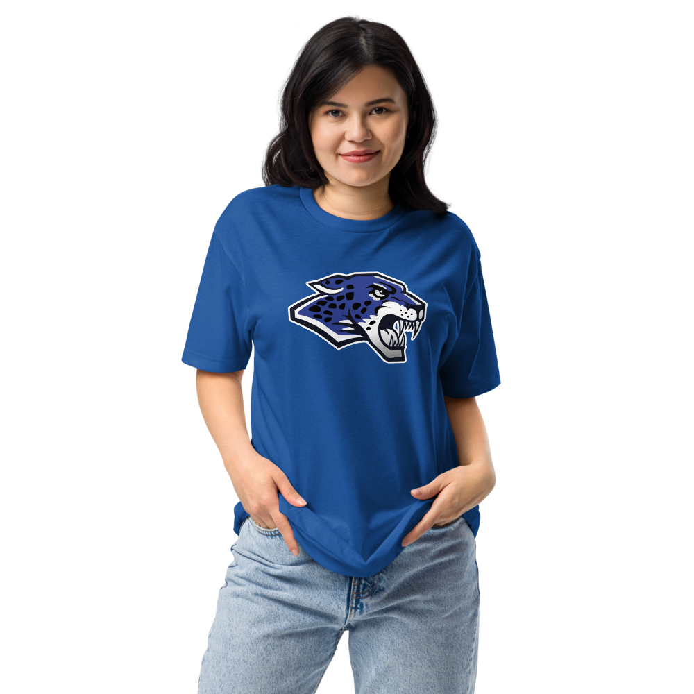 Desert Pines High School Design 1 — Royal