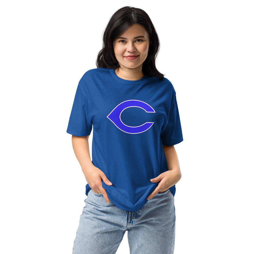 Childersburg High School Design 1 — Royal