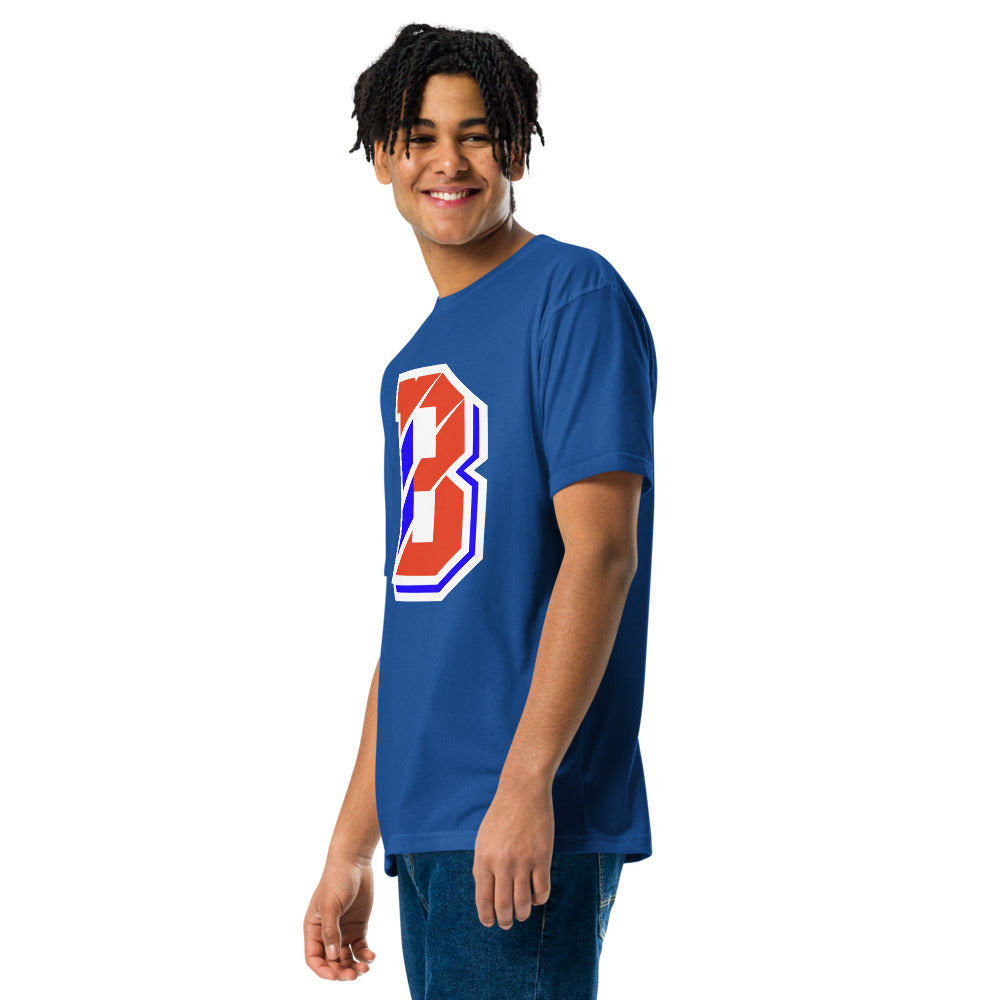 Berry High School Design 1 — Royal