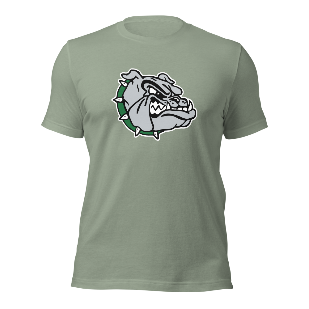 Virgin Valley High School Design 1 — Sage