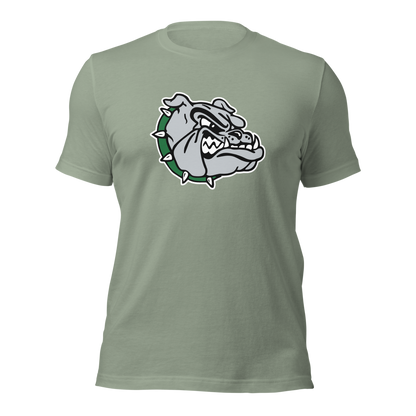 Virgin Valley High School Design 1 — Sage