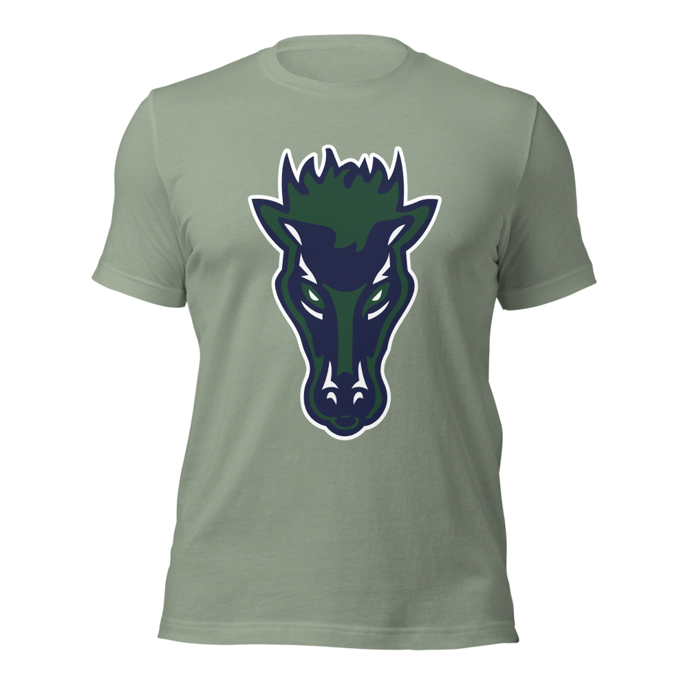 Damonte Ranch High School Design 1 — Sage