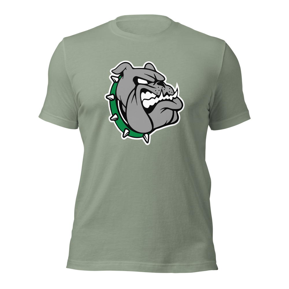 Provo High School Design 1 — Sage