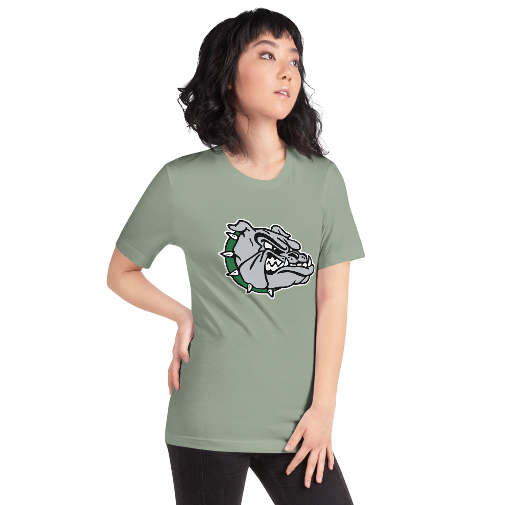 Virgin Valley High School Design 1 — Sage