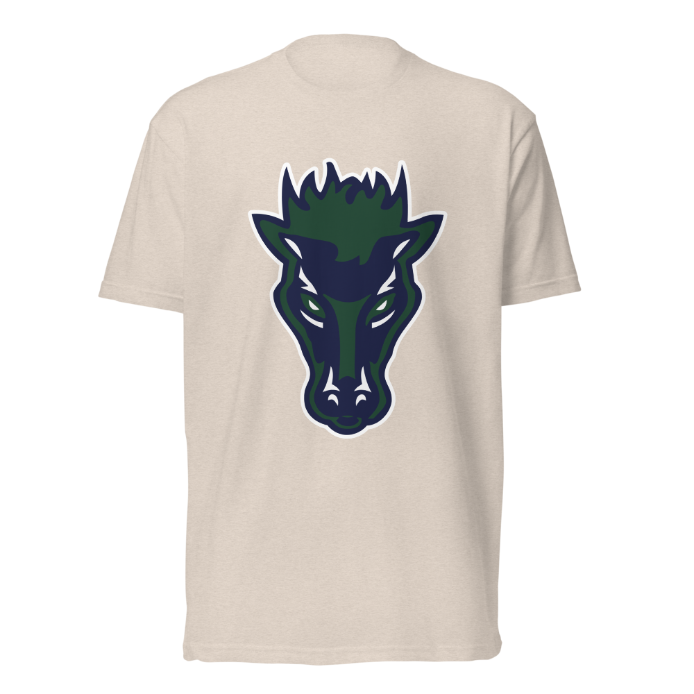 Damonte Ranch High School Design 1 — Sand