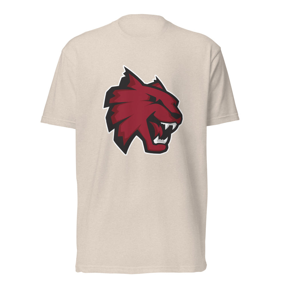 Central High School (Florence) Design 1 — Sand