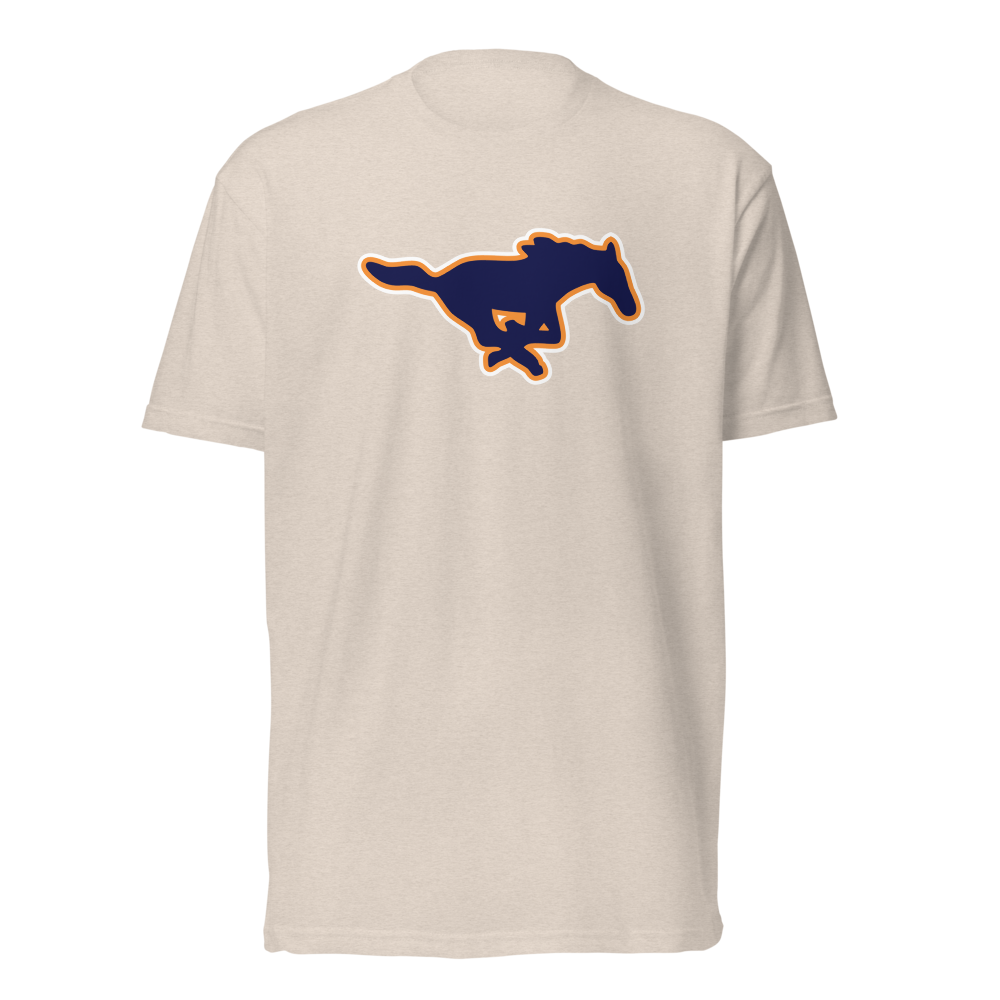 Mountain Crest High School Design 1 — Sand