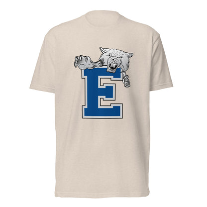 Enterprise High School Design 1 — Sand