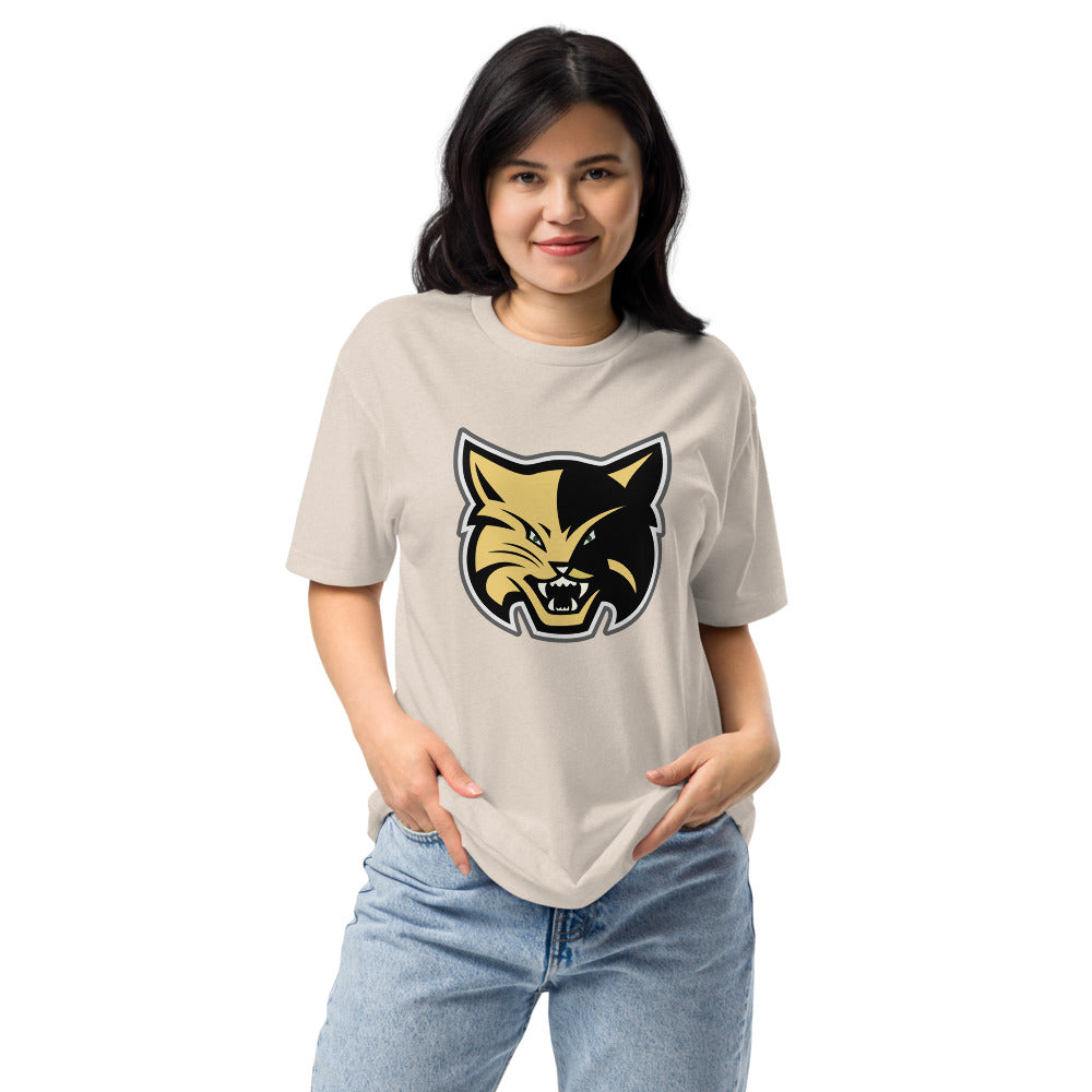 Fort Payne High School Design 1 — Sand