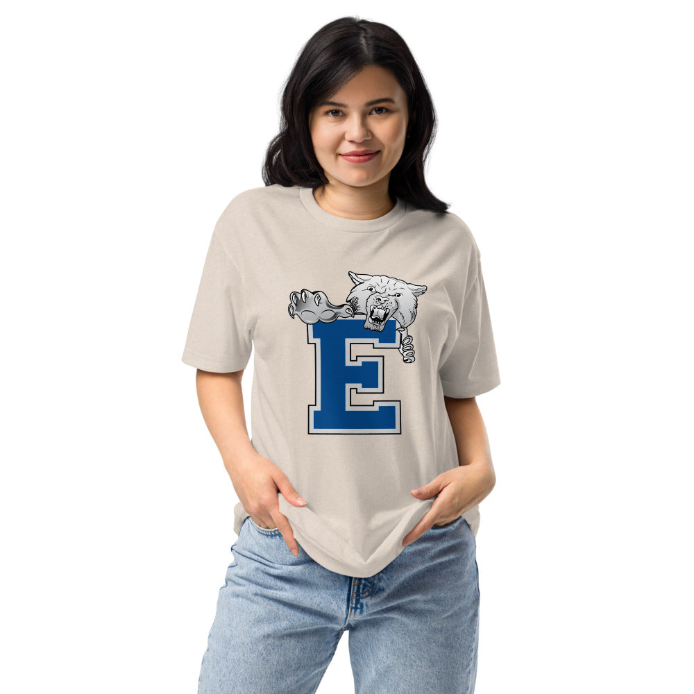 Enterprise High School Design 1 — Sand