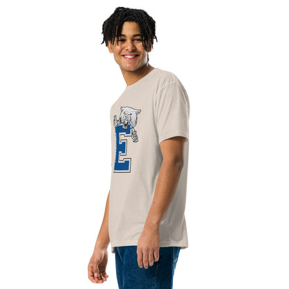 Enterprise High School Design 1 — Sand