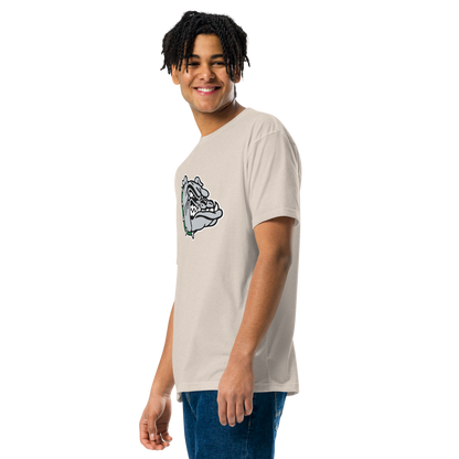 Virgin Valley High School Design 1 — Sand