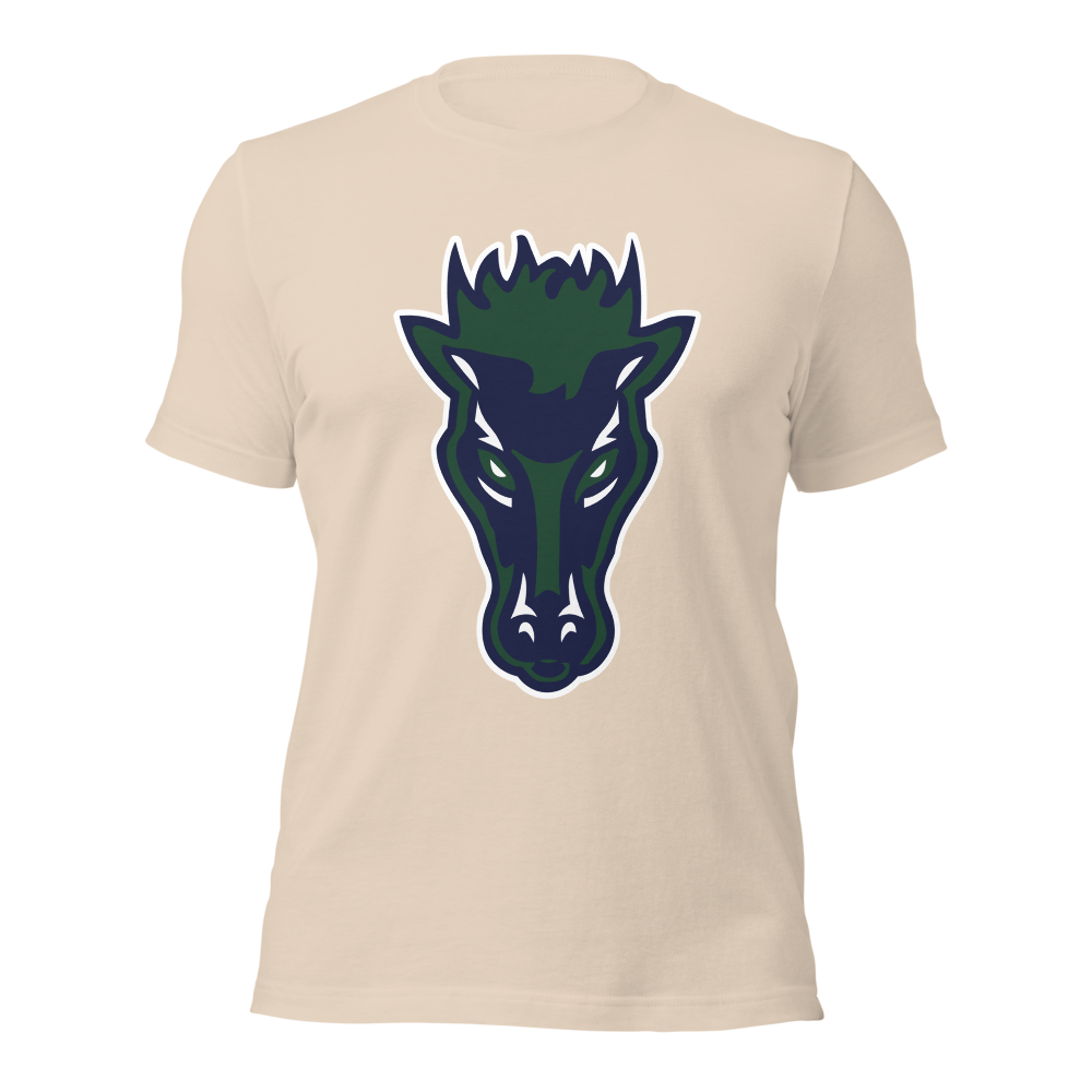 Damonte Ranch High School Design 1 — Soft Cream