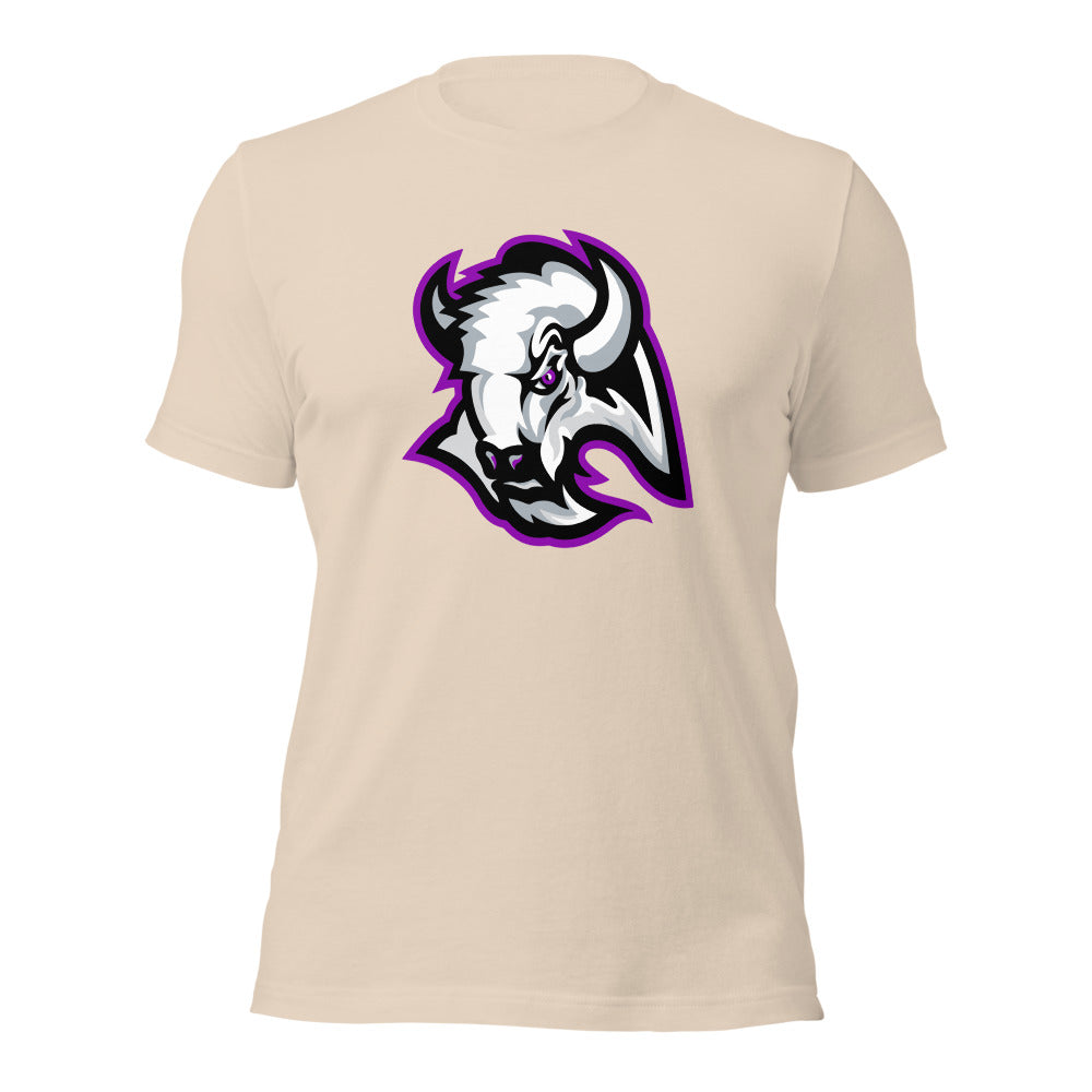 A H Parker High School Design 1 — Soft Cream