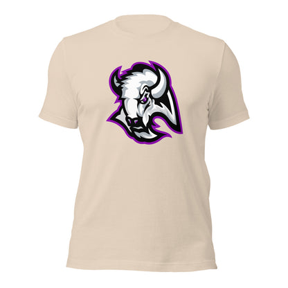 A H Parker High School Design 1 — Soft Cream