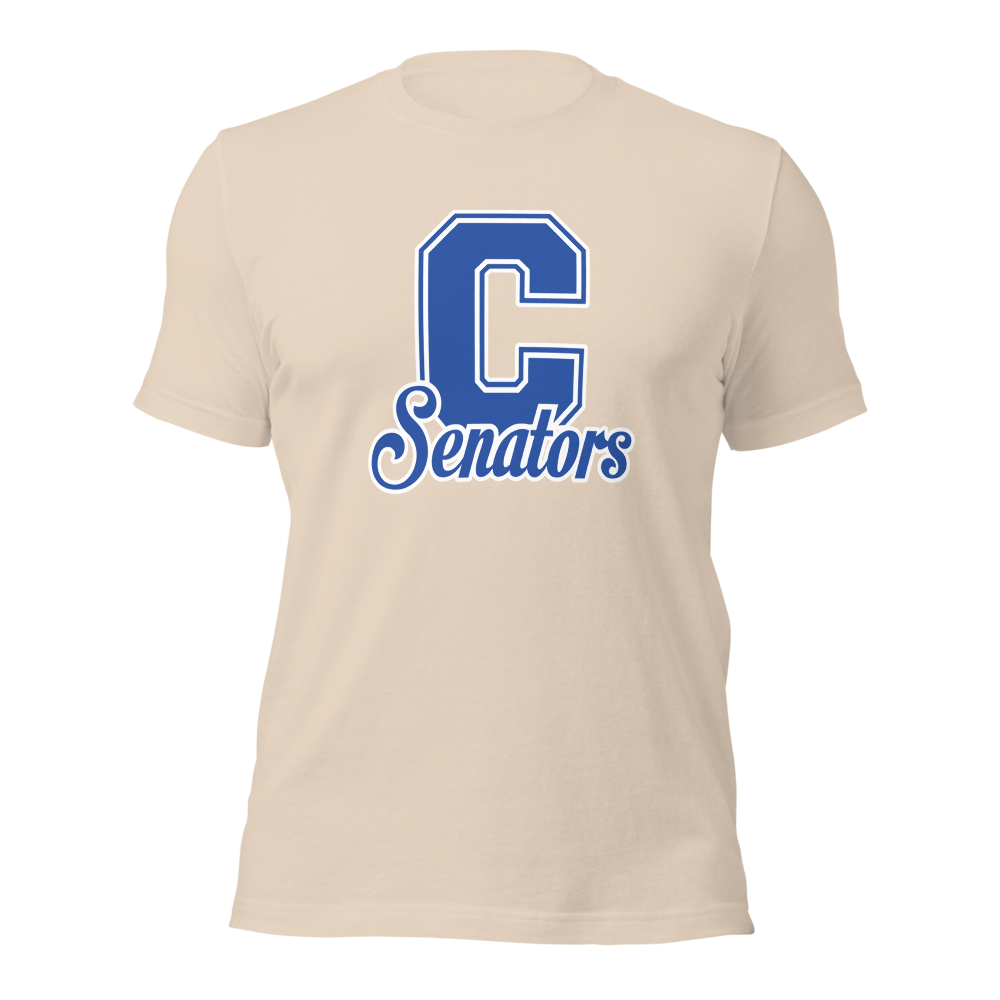 Carson High School Design 1 — Soft Cream