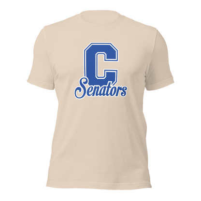 Carson High School Design 1 — Soft Cream