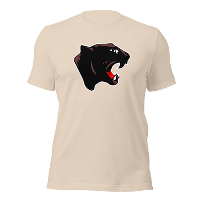 Collinsville High School Design 1 — Soft Cream