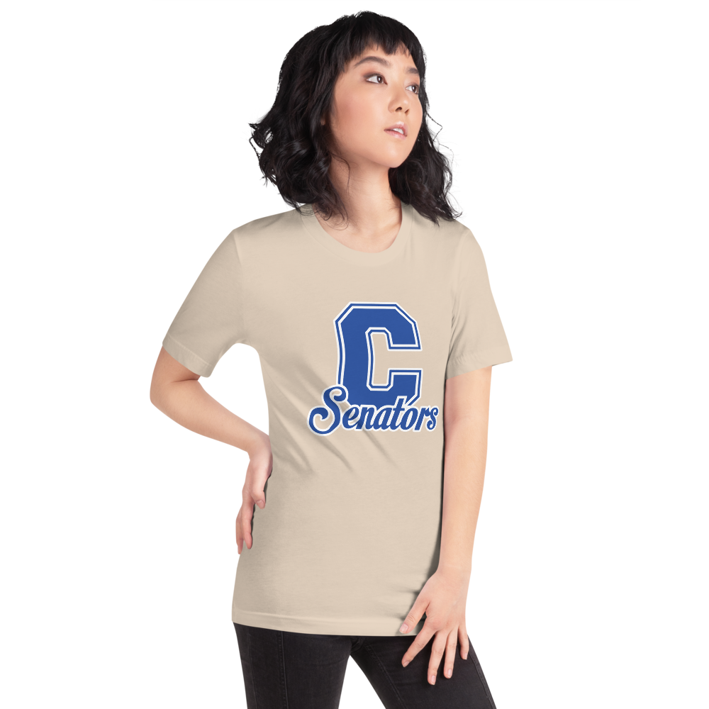 Carson High School Design 1 — Soft Cream