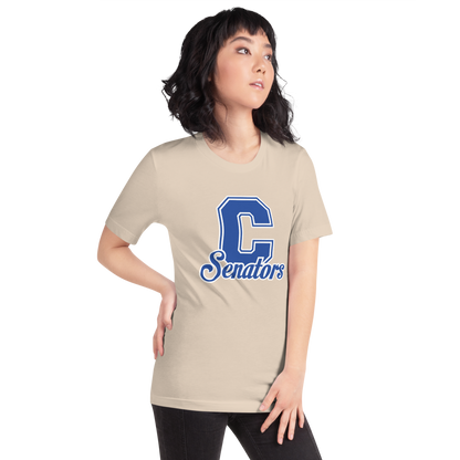 Carson High School Design 1 — Soft Cream