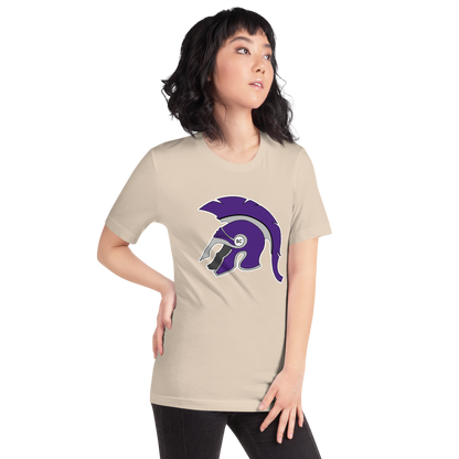 Spring Creek High School Design 1 — Soft Cream