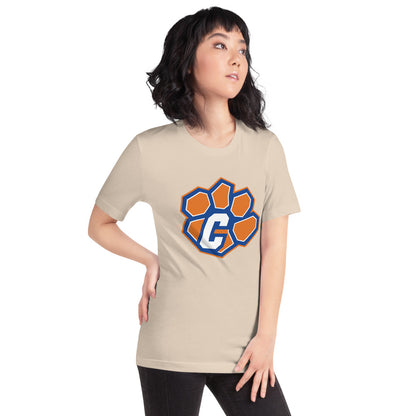 Chilton County High School Design 1 — Soft Cream