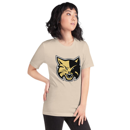 Fort Payne High School Design 1 — Soft Cream