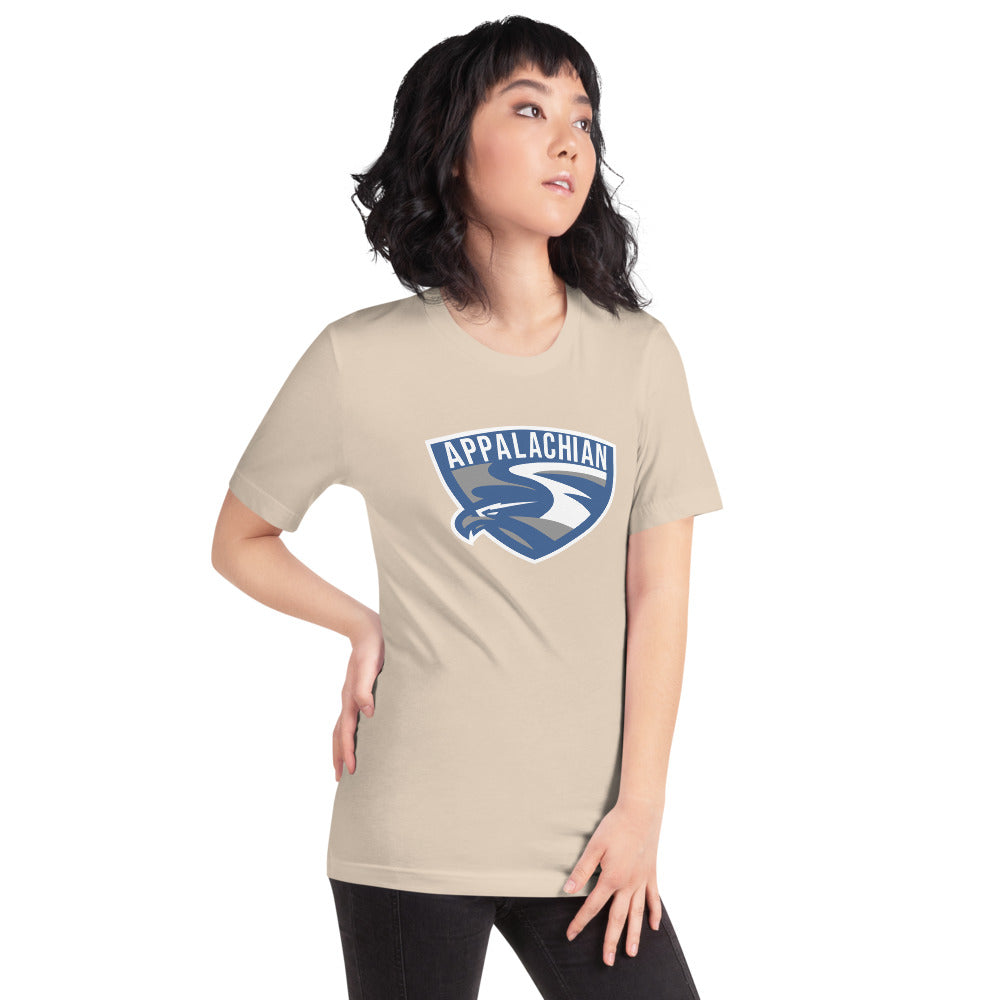 Appalachian High School Design 1 — Soft Cream