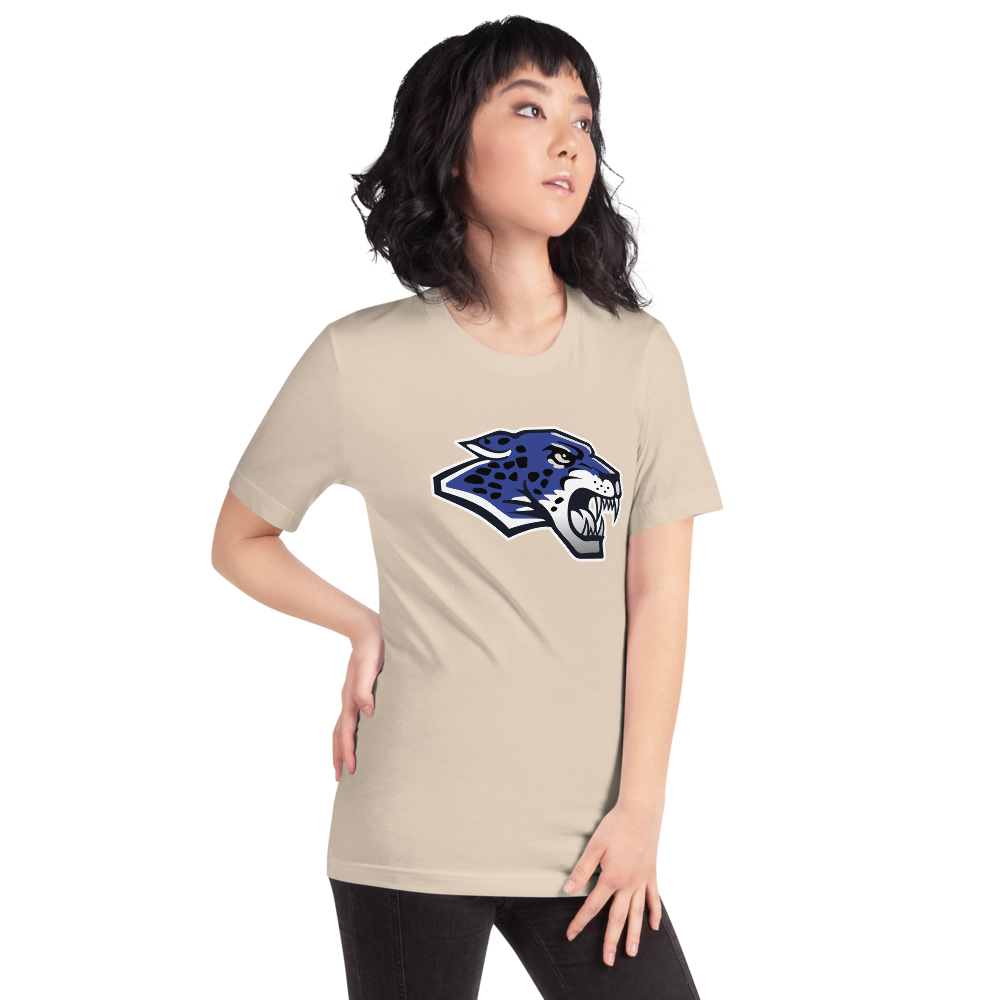Desert Pines High School Design 1 — Soft Cream