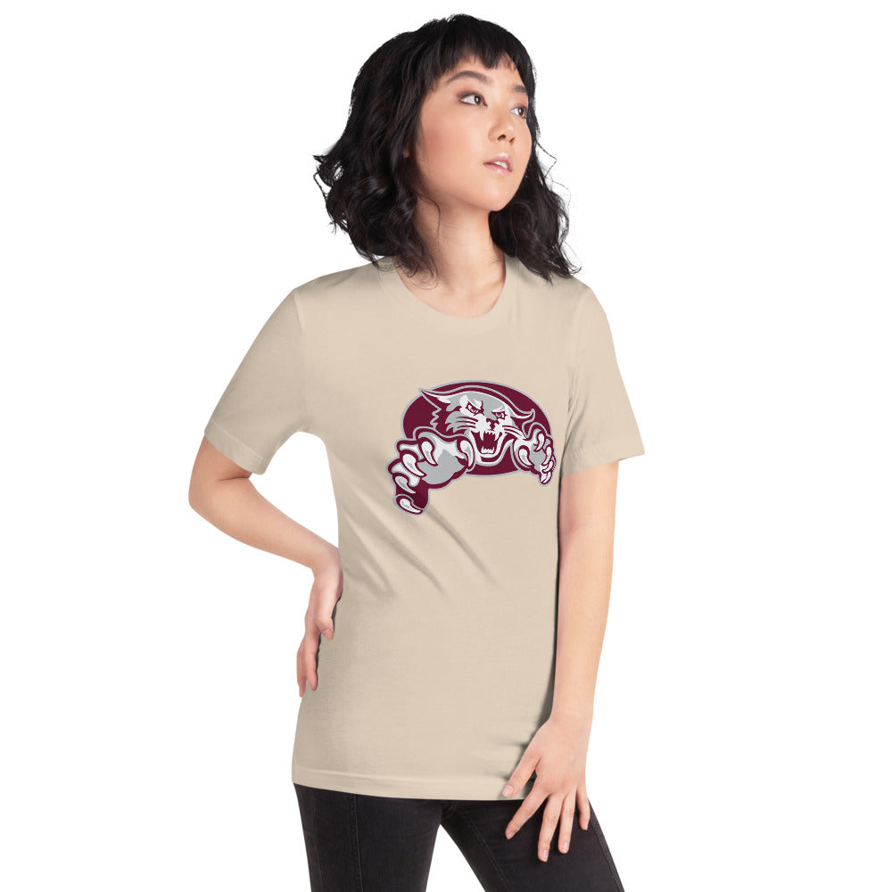 Shelby County High School Design 1 — Soft Cream